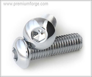 SOCKET BOLTS